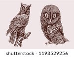 Vintage Set Of Graphical Owls...