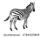 graphical zebra standing and... | Shutterstock .eps vector #1784535809