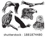 grapical set of birds isolated... | Shutterstock .eps vector #1881874480