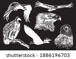 vector hand drawn set of wild... | Shutterstock .eps vector #1886196703