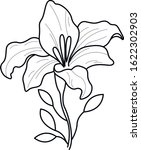 lilies line  decorative elements | Shutterstock .eps vector #1622302903