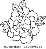 peony flower art work for... | Shutterstock .eps vector #1809895186
