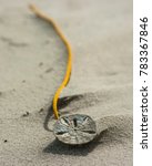 Small photo of Sand dollar necklace in the sand