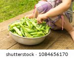 Baby hand taking pea pod from a bowl full of ripe green peas in pods
