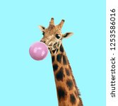 Small photo of Modern art collage. Concept giraffe with bubble gum on color background. Funny animals.