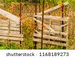 Small photo of Rough pallet fence held together with metal posts and bright orange rope, holding back the wildflowers of a farm field.