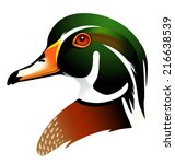 Vector Illustration Of Wood Duck
