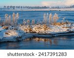 Small photo of Snow-covered plants on a small mound in the water of the Kleiputte biotope on a sunny winter morning