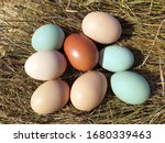  chicken eggs in a straw nest.... | Shutterstock . vector #1680339463
