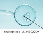 Small photo of In vitro fertilisation concept. Artificial insemination or fertility treatment macro photography.