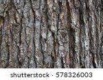 Dry Tree Bark Texture Background