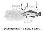 fish hand drawn set watercolor... | Shutterstock .eps vector #1565759293