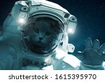 Space cat in a spacesuit with hand on a background of the starry sky. Beautiful cat in outer space. Travel concept