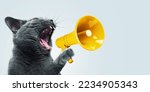 Small photo of Funny grey cat screams with a yellow loudspeaker on a blue background, creative idea. Fun pet kitten speaks into a megaphone. Management and advertising, concept