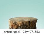 Tree Table wood Podium in farm display for food, perfume, and other products on blue background. Eco-friendly design and free copy space for design