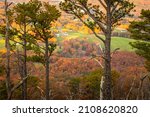 Small photo of Autumn view through the pines from Little Pinnacle at Pilot Mountain State Park in Pinnacle, NC.