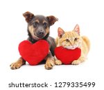 Cat And Dog With Red Hearts...