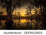 Sunrise With Cypress Trees In...