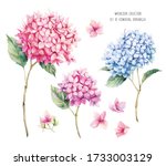 Watercolor Set With Blooming...