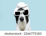 Border collie dog summer going on vacations. Puppy relaxing spa wrapped with a white towel and sunglasses. Isolated on blue pastel background.