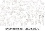 set of vector animals  rough... | Shutterstock . vector #36058573