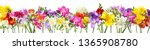 many blooming spring freesia... | Shutterstock . vector #1365908780