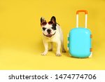 French bulldog with sunglasses and little suitcase on yellow background. Space for text