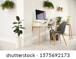 Modern workplace in room decorated with green potted plants. Home design