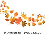 Many autumn leaves moving by gust wind on white background