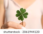 Woman holding green four leaf clover in hand, closeup