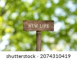 Small photo of Start to live without alcohol addiction. Wooden signpost with inscription NEW LIFE on blurred green background