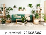 Small photo of Living room interior with beautiful different potted green plants and furniture. House decor