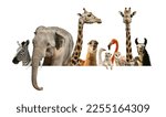 Group of different wild animals ...