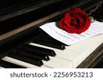 Beautiful Red Rose And Musical...
