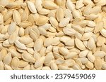 Many pumpkin seeds as background, top view