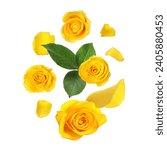 Beautiful yellow roses and...