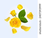 Beautiful yellow roses and...