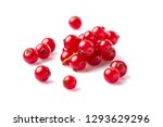 Fresh  Red Currant Berries...