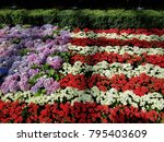 Flower American Flag