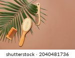 Hair brush, combs and palm leaf on color background