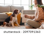 Small photo of Woman and cute Beagle dog near convector heater at home