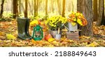 Small photo of Beautiful Chrysanthemum flowers, gardening tools, pumpkins, lantern and gumboots in autumn park