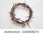 Crown of thorns on white background