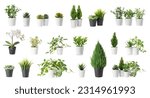 Set of artificial plants on...