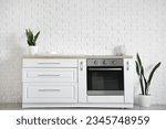 Interior of modern kitchen with white counters, oven, clean dishes and houseplants