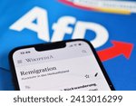 Small photo of Burgdorf, Lower Saxony, Germany - January 15, 2024: A smartphone display shows the word remigration - remigration was named the bad word of the year 2024 by the German Language Society