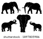 Elephant Family. Set Of...