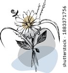 Floral Vector Isolated...