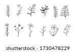 collection of flower herbs... | Shutterstock .eps vector #1730478229