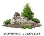 Cutout rock surrounded by fir trees. Garden design isolated on white background. Decorative shrub for landscaping. High quality clipping mask for professionnal composition or 3D rendering.